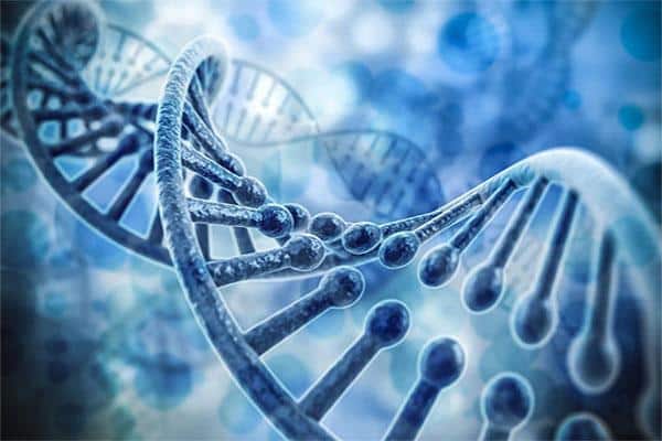 Chức Năng Của ADN Là Gì? Ứng Dụng Công Nghệ ADN Trong Đời Sống