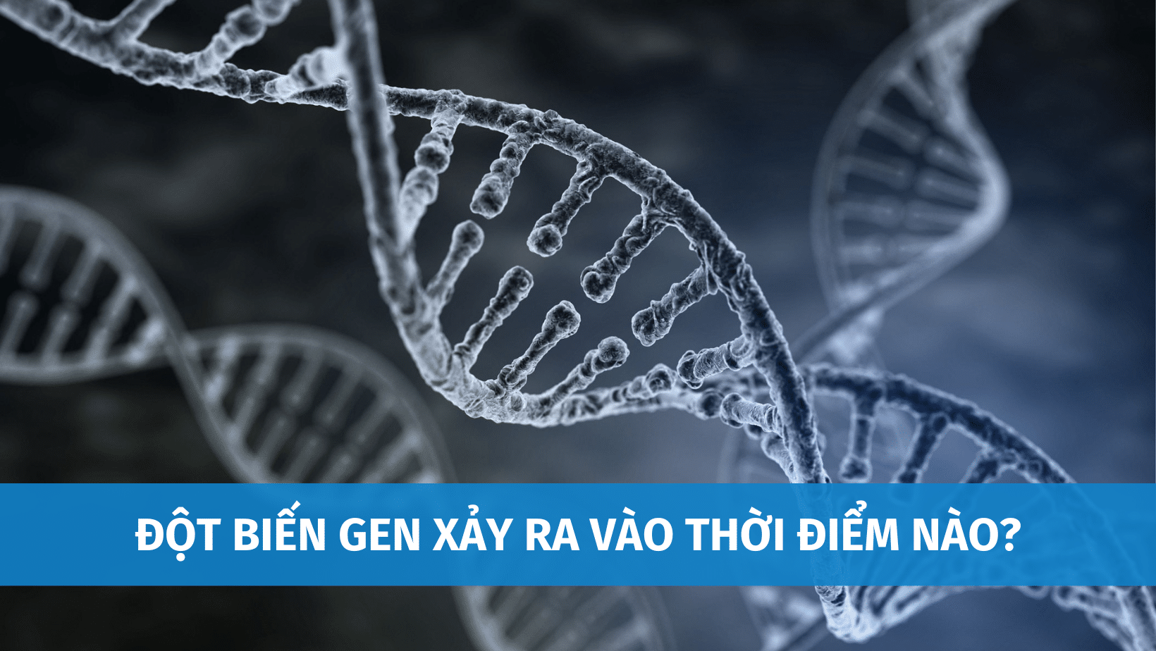 đột biến gen xảy ra vào thời điểm nào