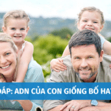 adn cua con giong bo hay me 1
