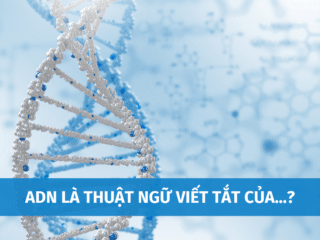 adn-la-thuat-ngu-viet-tat-cua-5