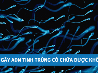 Đứt Gãy ADN Tinh Trùng Có Chữa Được Không? Cách Hạn Chế Tình Trạng Đứt Gãy ADN Tinh Trùng dut-gay-adn-tinh-trung-co-chua-duoc-khong-5