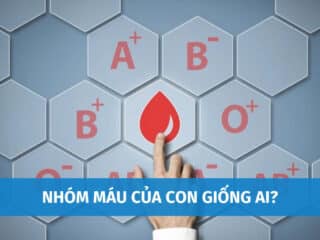 nhom-mau-cua-con-giong-ai